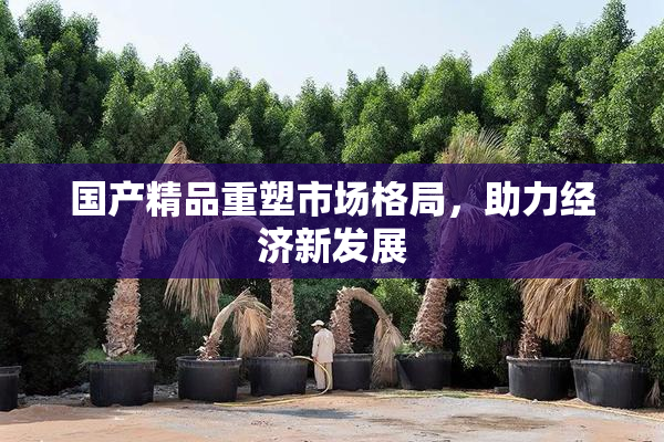 国产精品重塑市场格局，助力经济新发展