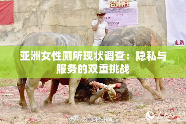 亚洲女性厕所现状调查：隐私与服务的双重挑战