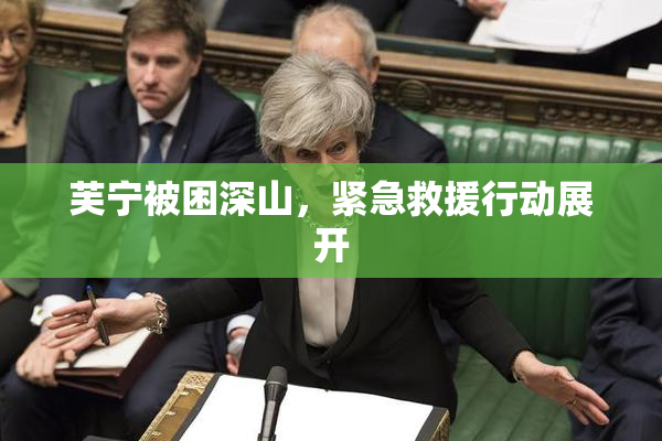 芙宁被困深山，紧急救援行动展开