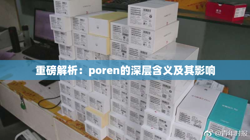 重磅解析：poren的深层含义及其影响
