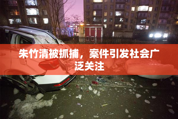 朱竹清被抓捕，案件引发社会广泛关注