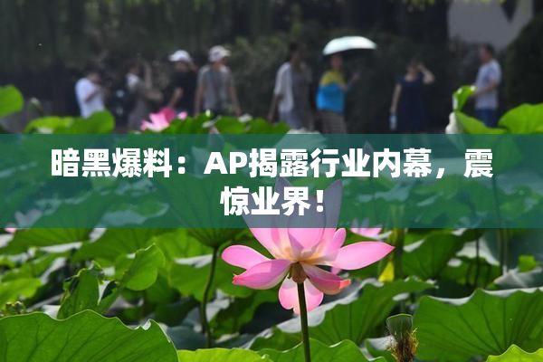 暗黑爆料：AP揭露行业内幕，震惊业界！