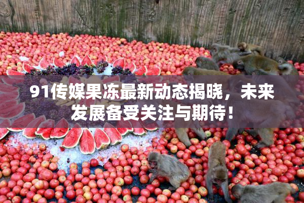 91传媒果冻最新动态揭晓，未来发展备受关注与期待！