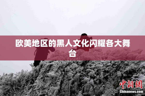 欧美地区的黑人文化闪耀各大舞台