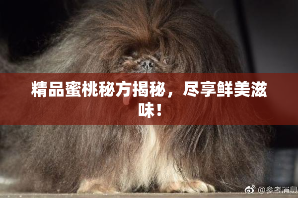精品蜜桃秘方揭秘，尽享鲜美滋味！