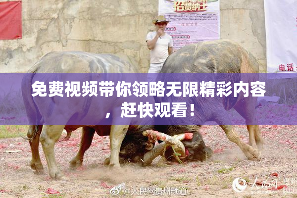 免费视频带你领略无限精彩内容，赶快观看！