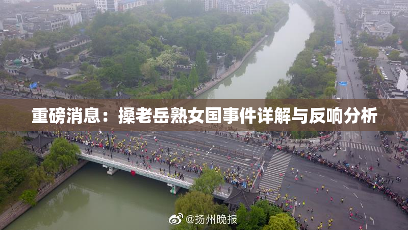 重磅消息：搡老岳熟女国事件详解与反响分析