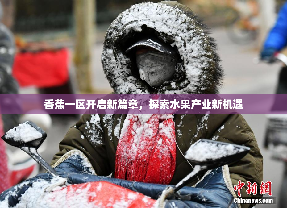 香蕉一区开启新篇章，探索水果产业新机遇