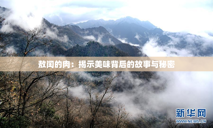 敖闰的肉：揭示美味背后的故事与秘密