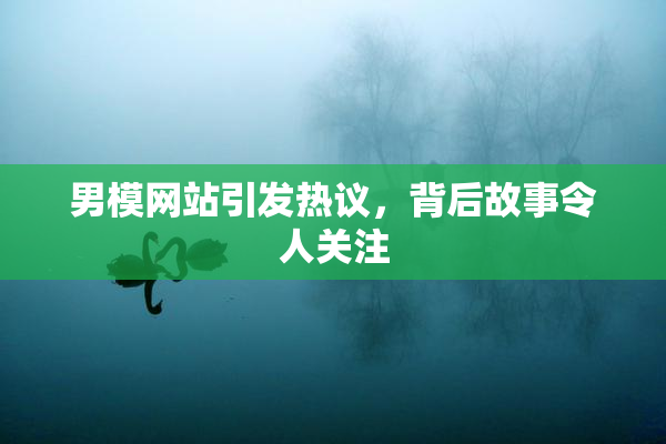 男模网站引发热议，背后故事令人关注