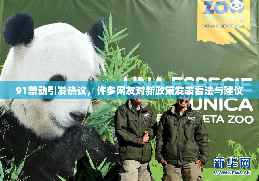 91禁动引发热议，许多网友对新政策发表看法与建议