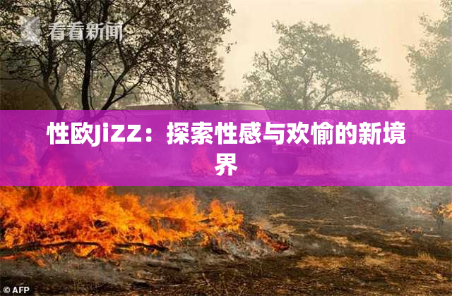 性欧JiZZ：探索性感与欢愉的新境界
