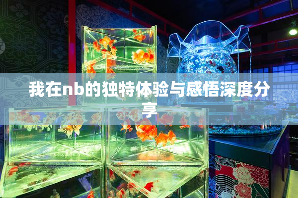 我在nb的独特体验与感悟深度分享