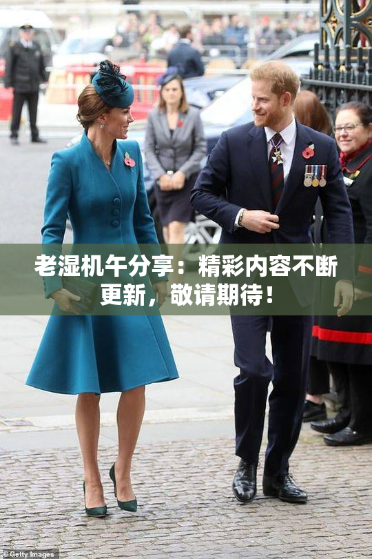 老湿机午分享：精彩内容不断更新，敬请期待！