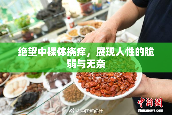 绝望中裸体挠痒，展现人性的脆弱与无奈