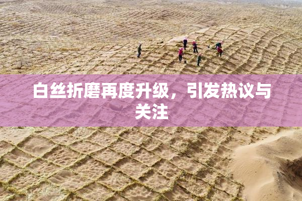 白丝折磨再度升级，引发热议与关注