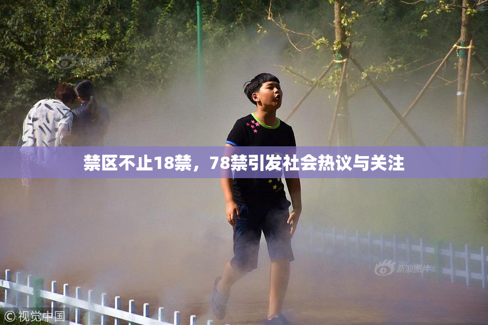 禁区不止18禁，78禁引发社会热议与关注