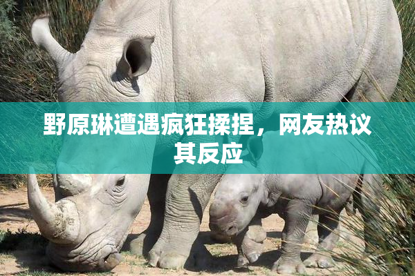 野原琳遭遇疯狂揉捏，网友热议其反应