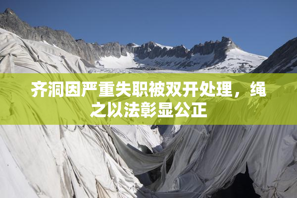 齐洞因严重失职被双开处理，绳之以法彰显公正