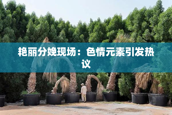 艳丽分娩现场：色情元素引发热议