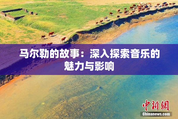 马尔勒的故事：深入探索音乐的魅力与影响