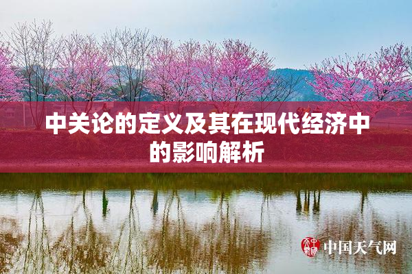 中关论的定义及其在现代经济中的影响解析