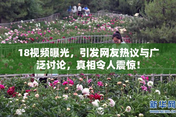 18视频曝光，引发网友热议与广泛讨论，真相令人震惊！