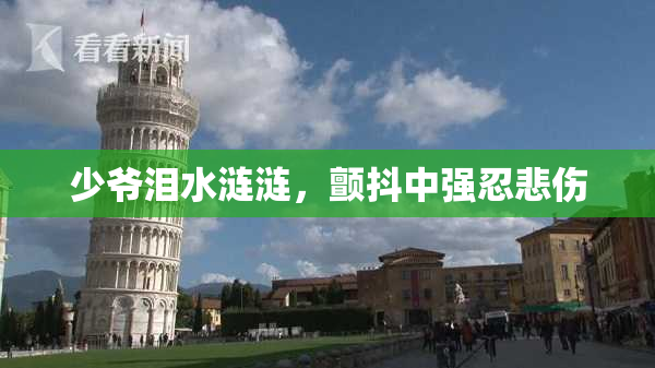 少爷泪水涟涟，颤抖中强忍悲伤