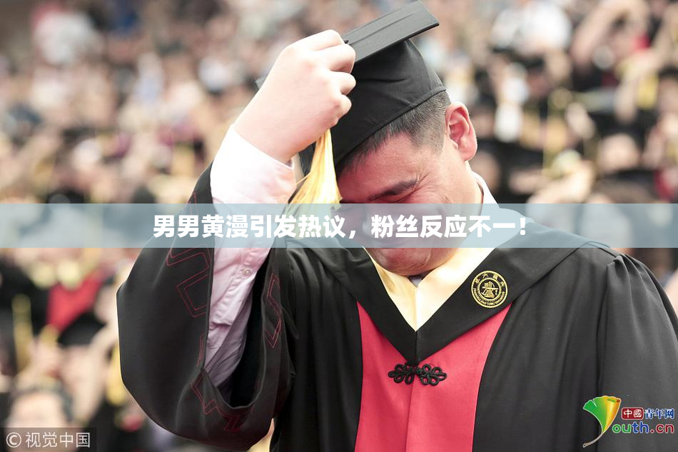 男男黄漫引发热议，粉丝反应不一！