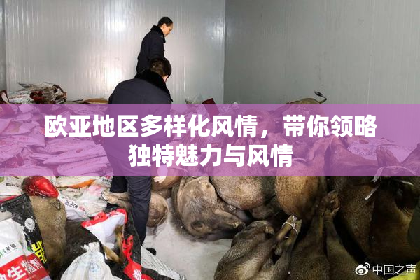欧亚地区多样化风情，带你领略独特魅力与风情