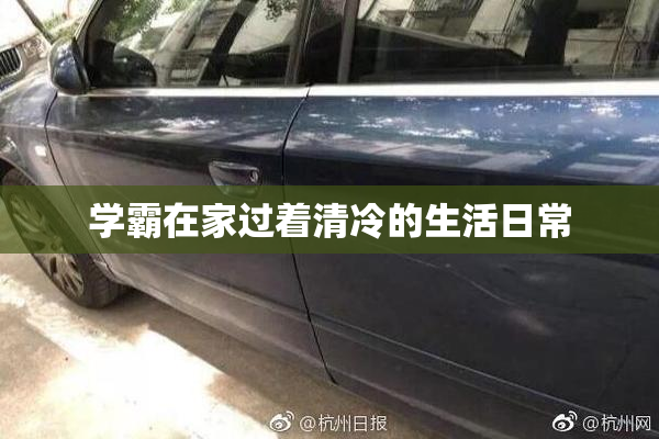 学霸在家过着清冷的生活日常