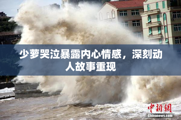 少萝哭泣暴露内心情感，深刻动人故事重现