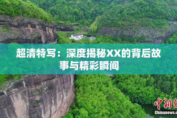 超清特写：深度揭秘XX的背后故事与精彩瞬间