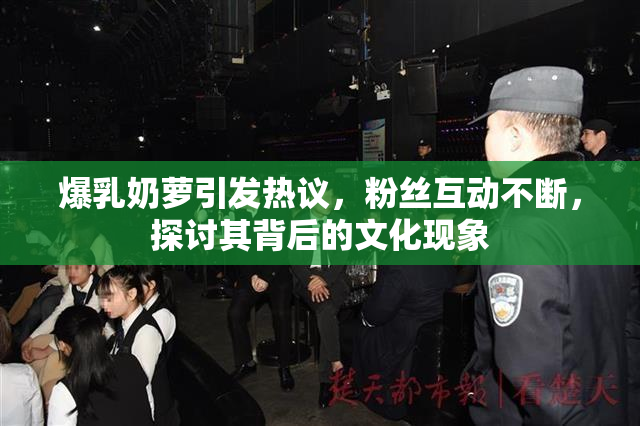 爆乳奶萝引发热议，粉丝互动不断，探讨其背后的文化现象