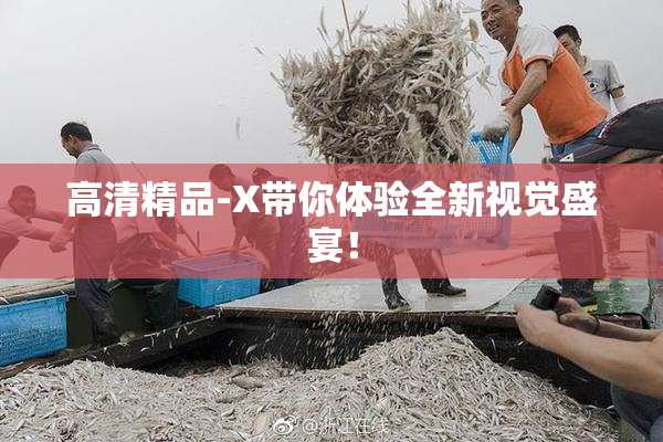 高清精品-X带你体验全新视觉盛宴！