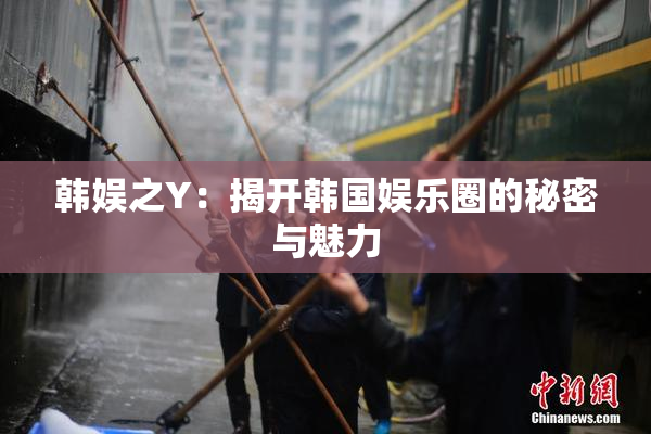 韩娱之Y：揭开韩国娱乐圈的秘密与魅力