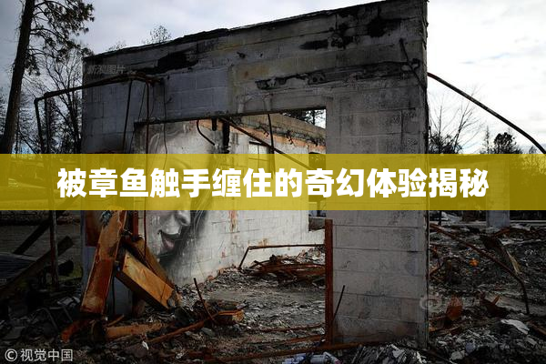 被章鱼触手缠住的奇幻体验揭秘