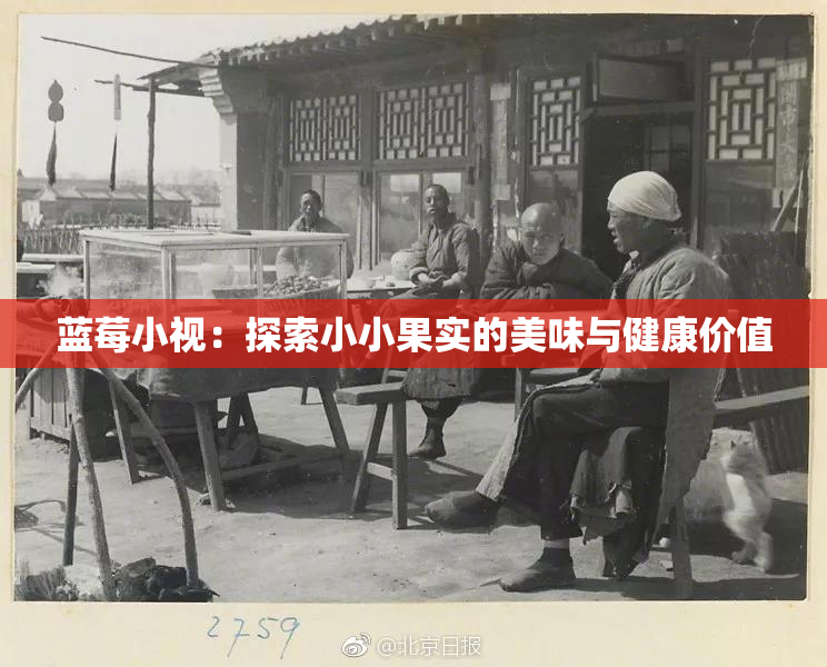 蓝莓小视：探索小小果实的美味与健康价值