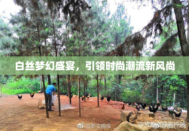 白丝梦幻盛宴，引领时尚潮流新风尚