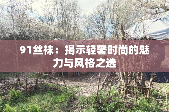 91丝袜：揭示轻奢时尚的魅力与风格之选