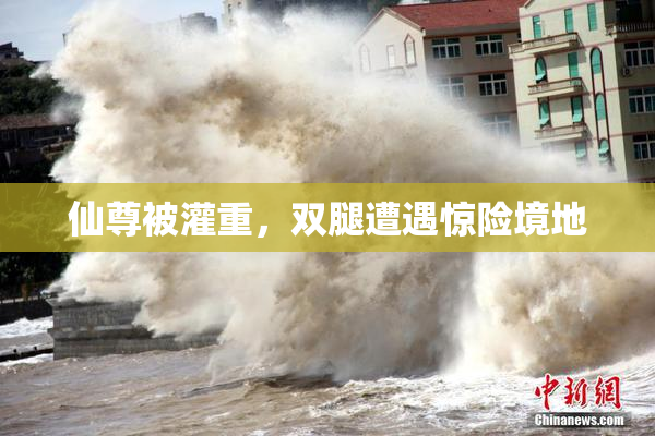 仙尊被灌重，双腿遭遇惊险境地