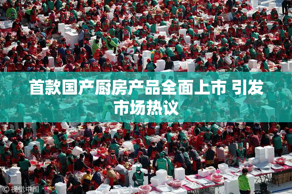 首款国产厨房产品全面上市 引发市场热议