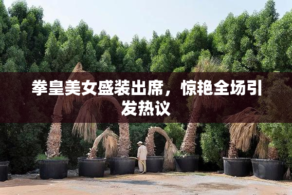 拳皇美女盛装出席，惊艳全场引发热议