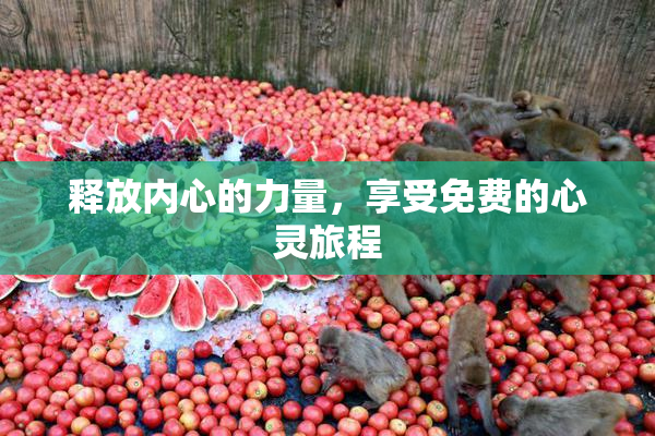 释放内心的力量，享受免费的心灵旅程