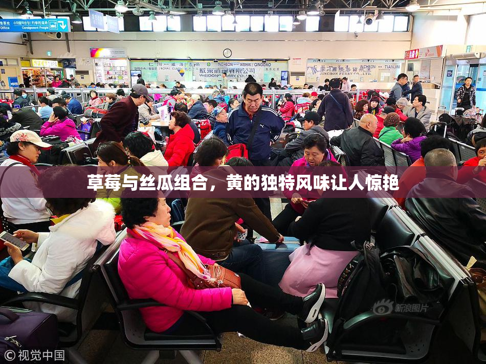 草莓与丝瓜组合，黄的独特风味让人惊艳