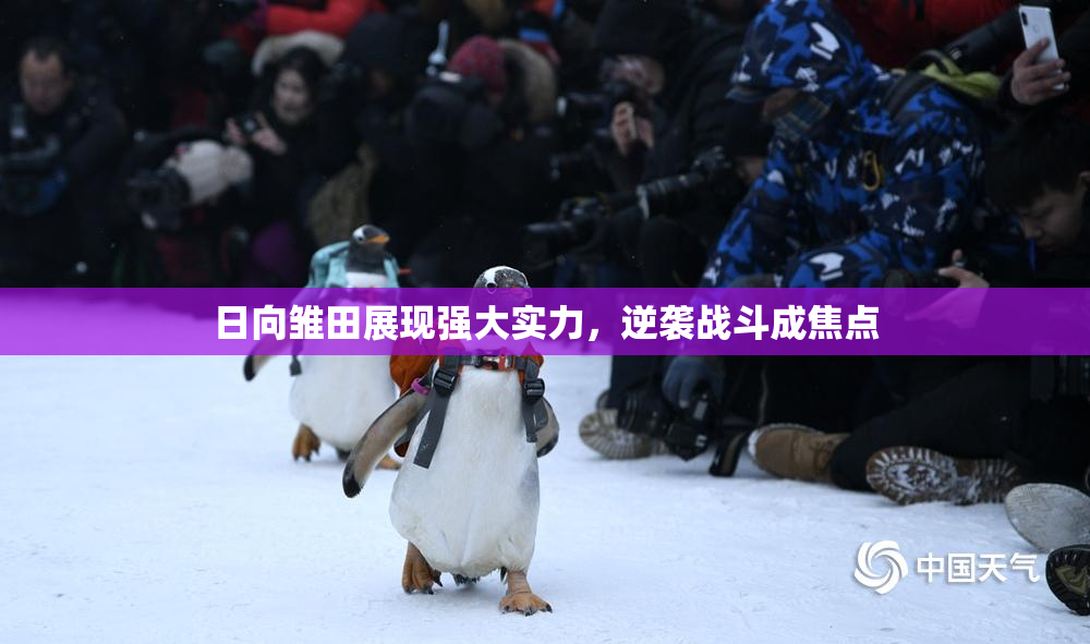 日向雏田展现强大实力，逆袭战斗成焦点
