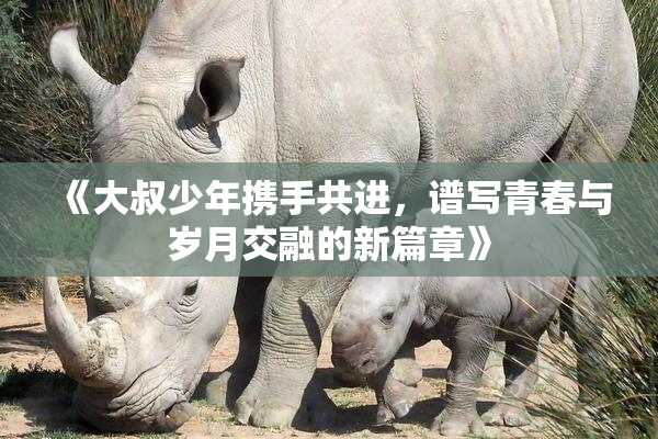 《大叔少年携手共进，谱写青春与岁月交融的新篇章》