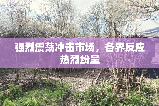 强烈震荡冲击市场，各界反应热烈纷呈