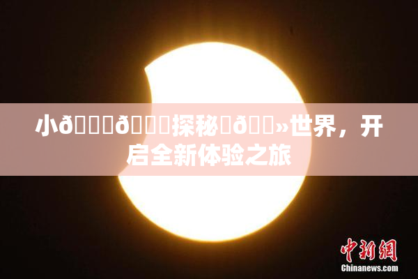 小🐔🐔探秘‌🐻世界，开启全新体验之旅