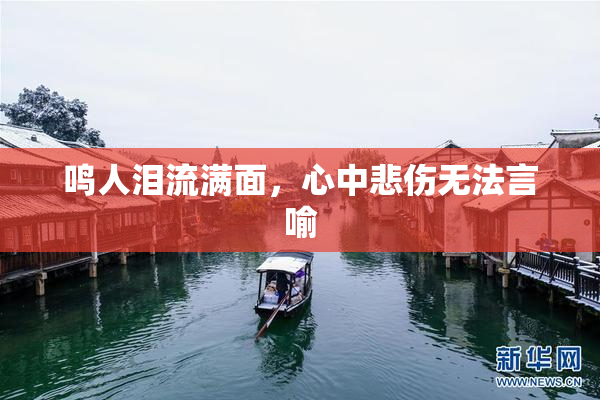 鸣人泪流满面，心中悲伤无法言喻